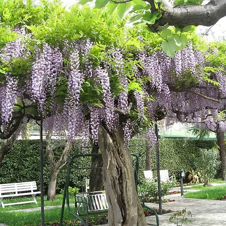 Giardino 3* سيرمِيوني
